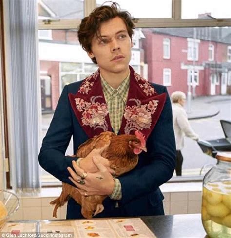 harry styles chicken sweater gucci|Gucci fashion show 2023.